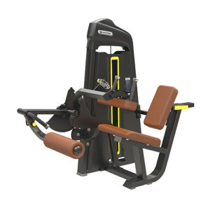 Seated Leg Curl