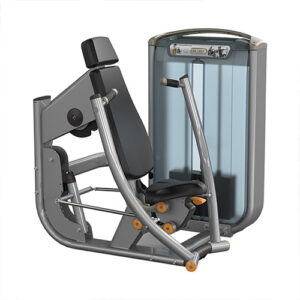 Seated Chest Press