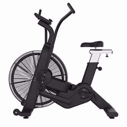 air bike for fat loss