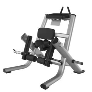 Kneeling Leg Curl Trainer