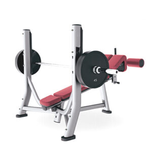 L1041 Olympic Decline Benches