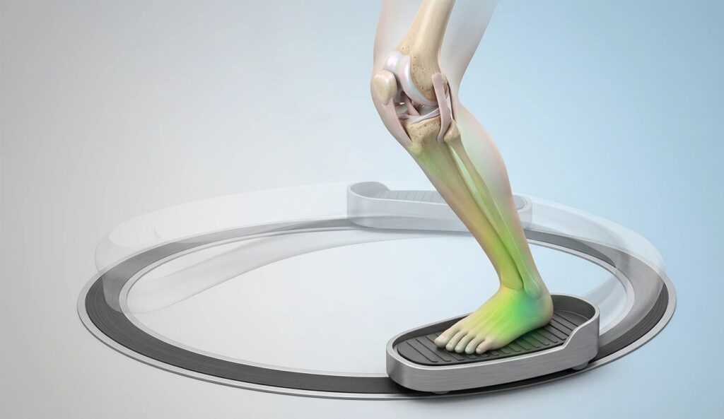 Anatomical 3D render showing the smooth gliding motion of a human knee joint on an elliptical pedal. This illustrates low impact cardio for seniors by showing the zero-impact closed-kinetic chain movement compared to running.